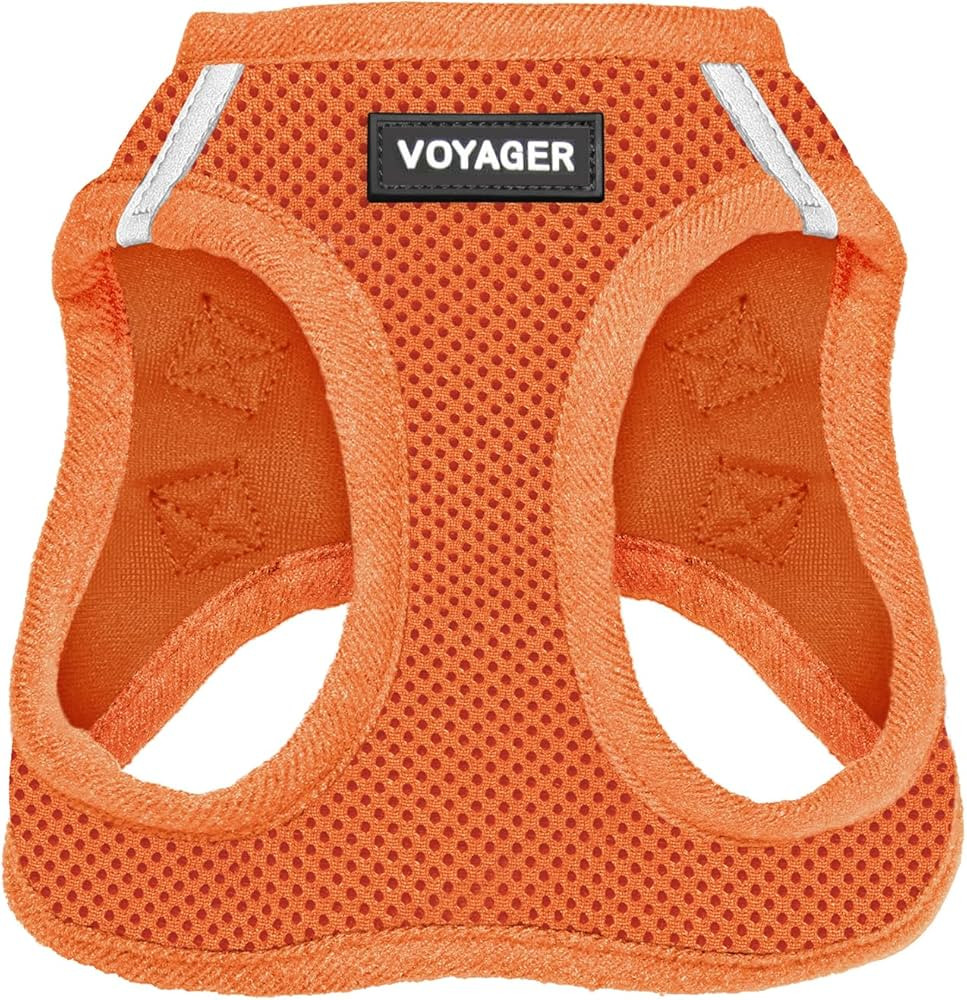Voyager Step-in Air Dog Harness - All Weather Mesh Step in Vest Harness for Small and Medium Dogs... | Amazon (US)