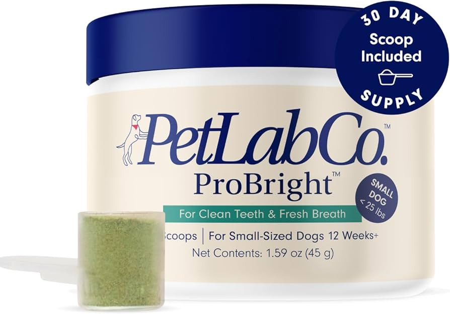 PetLab Co. ProBright Dental Powder - Dog Breath Freshener - Teeth Cleaning Made Easy – Targets ... | Amazon (US)