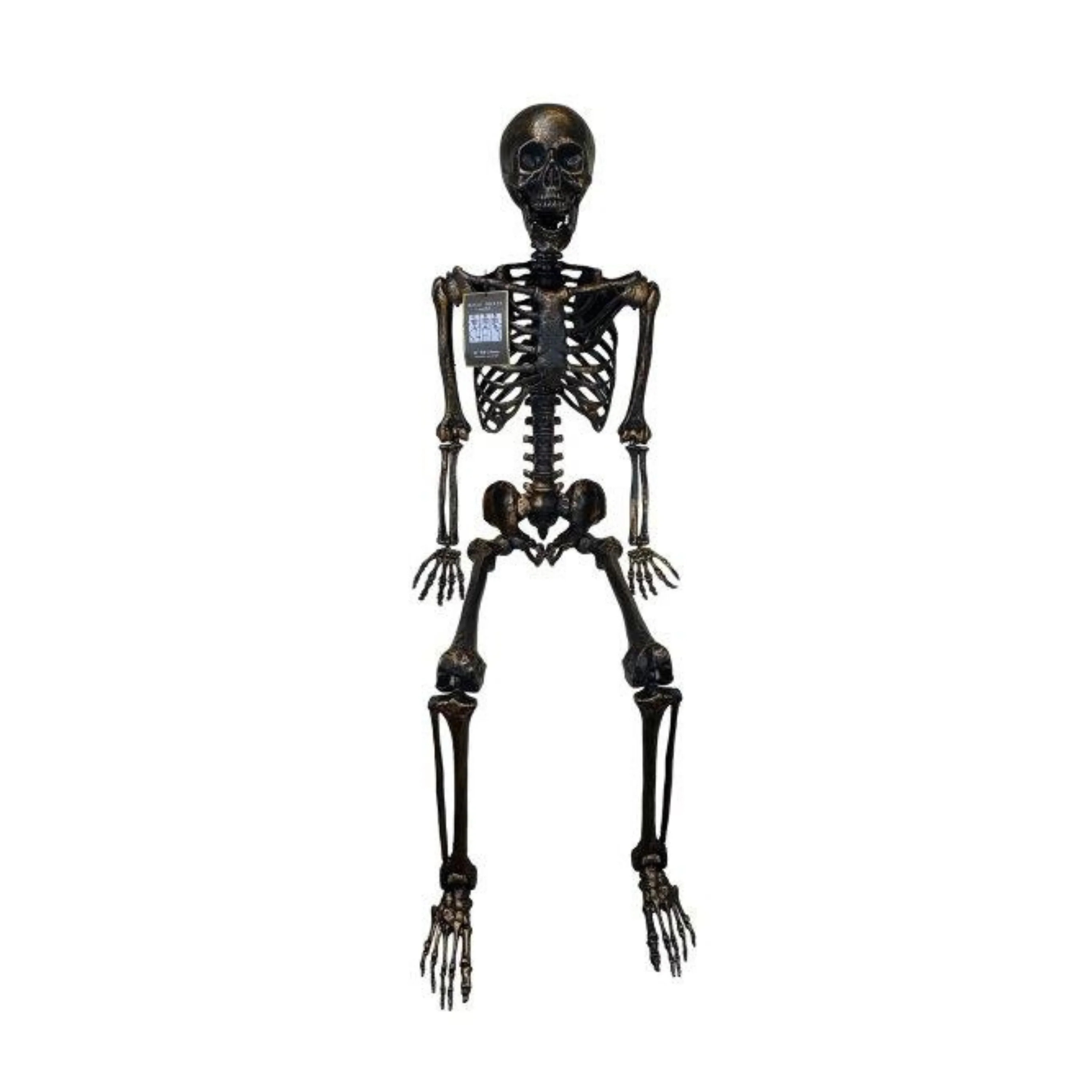 Lifesize Brass Skeleton | Becki Owens Living