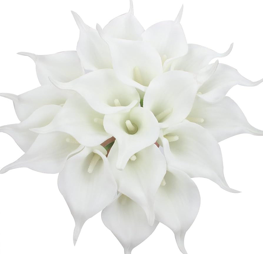 Duovlo 20pcs Calla Lily Bridal Wedding Bouquet Lataex Real Touch Artificial Flower Home Party Dec... | Amazon (US)