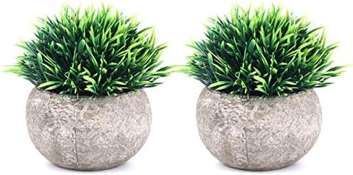 The Bloom Times 2 Pcs Fake Plants for Bathroom/Home Office Decor, Small Artificial Faux Greenery ... | Amazon (US)