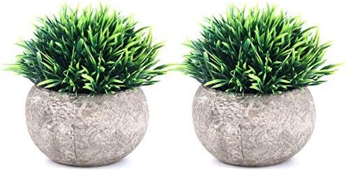 THE BLOOM TIMES 2 Pcs Fake Plants for Bathroom/Home Office Decor, Small Artificial Faux Greenery ... | Amazon (US)