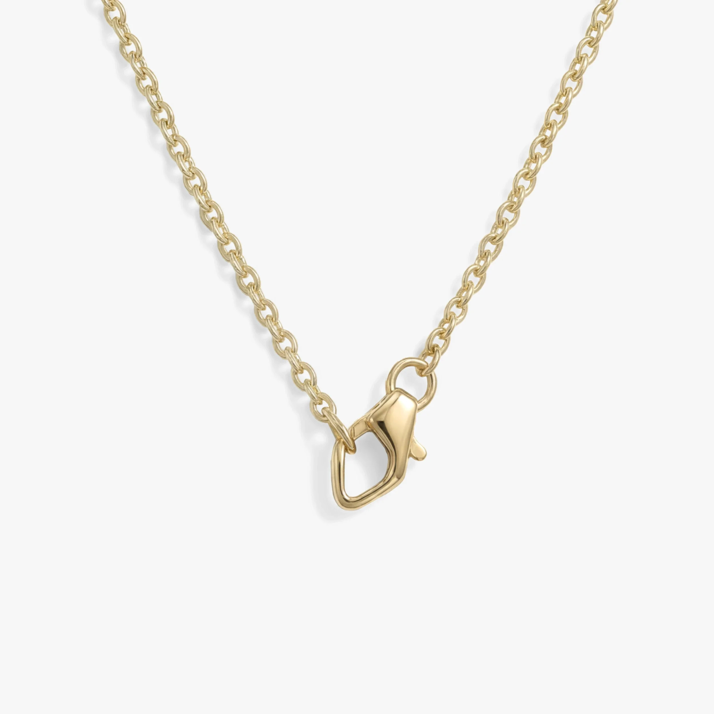 Collector Clasp Necklace | Awe Inspired