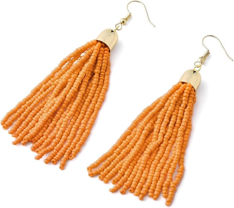 Handmade Beaded Tassel Earrings - Boho Drop Fringe Earrings for Women, Native American Indian Ear... | Amazon (US)