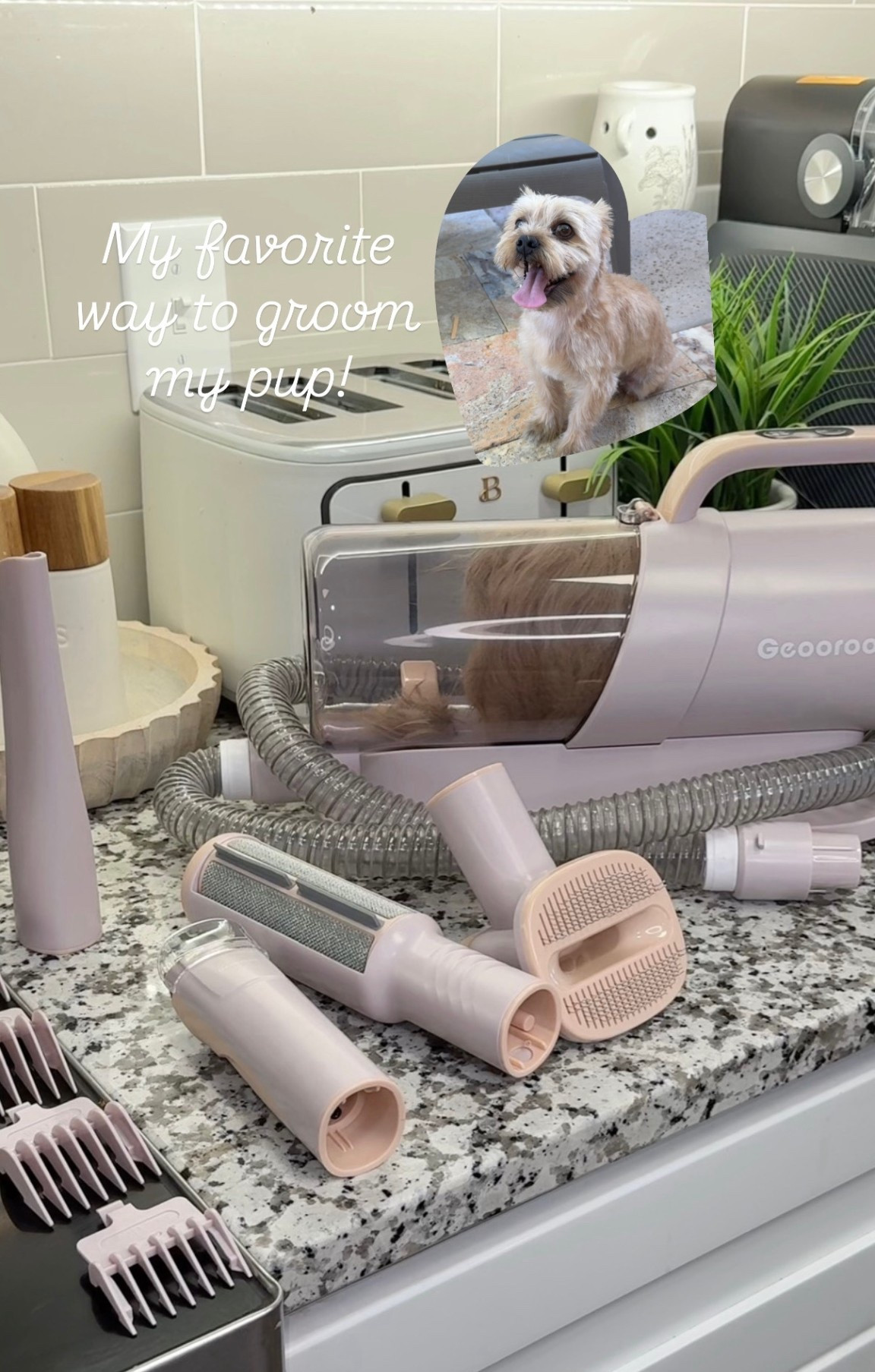 This kit is $60!!! Seriously a no brainer and makes life 10x easier either way dogs. More colors available on my TikTok shop. 

#LTKPets #LTKFamily #LTKFindsUnder100