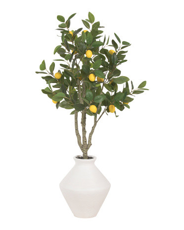 48in Lemon Tree In Magnesium Oxide Pot | TJ Maxx
