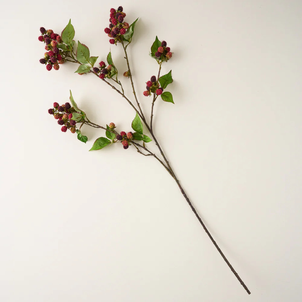 Blackberry Vine Stem | Magnolia