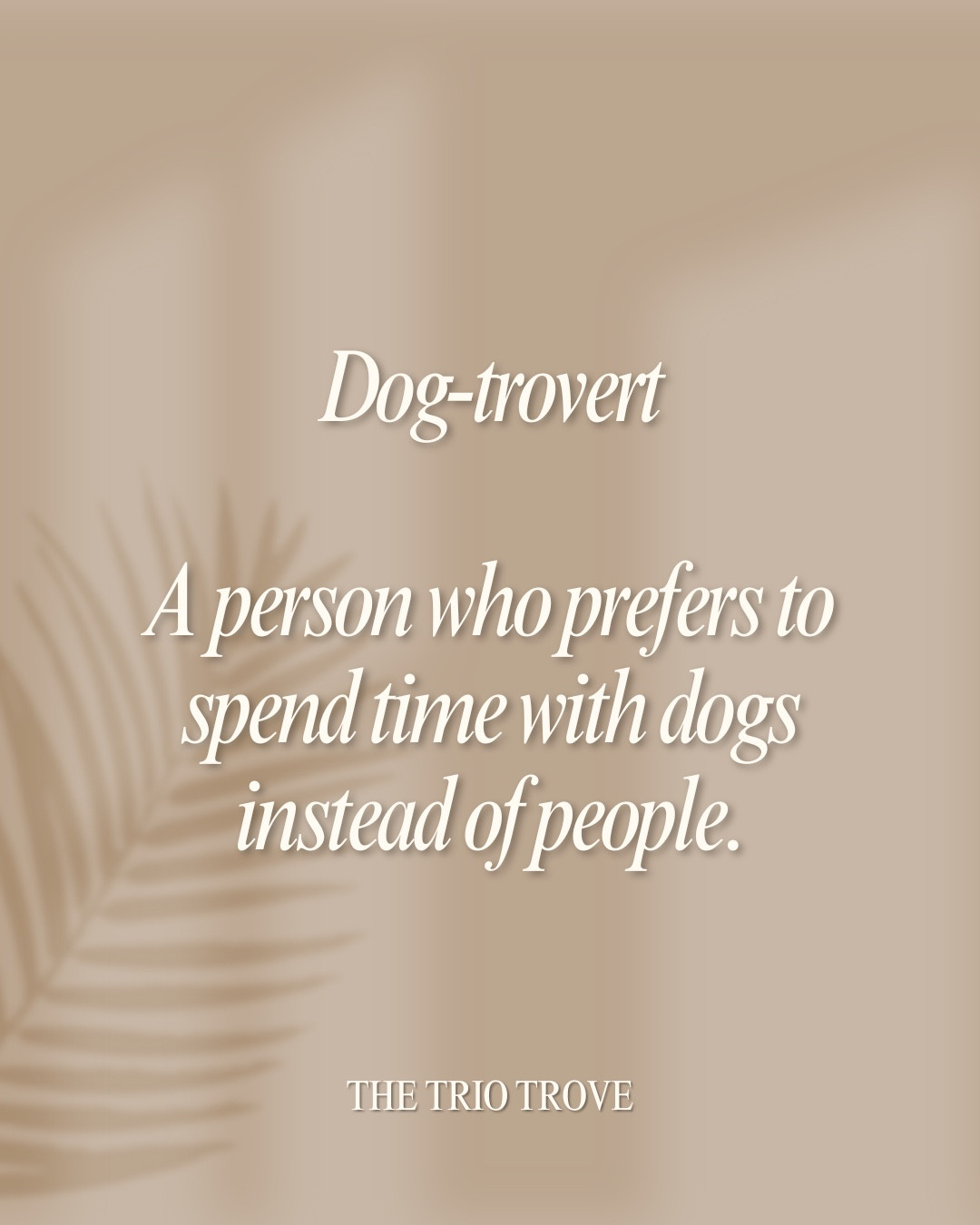 Our little best friends☺️🤍

Find all of our dog mom must haves on our LTK!

#LTKFindsUnder50 #LTKFindsUnder100 #LTKPets