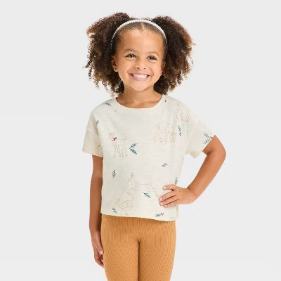 Toddler Girls' Christmas Boxy Graphic T-Shirt - Cat & Jack™ Pink | Target