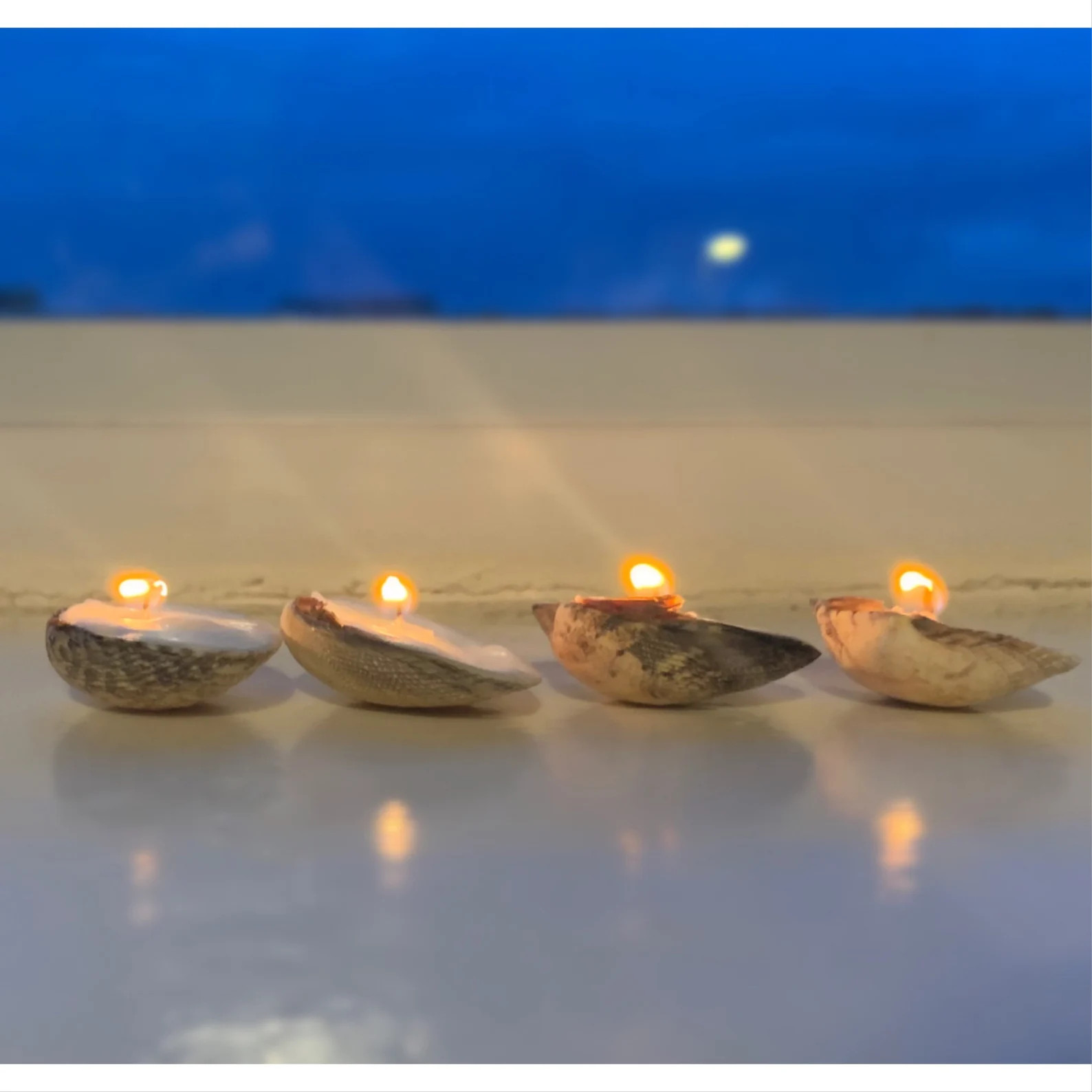 Sea Shell Tea-lights Handmade Mini Shell Candles White - Etsy UK | Etsy (UK)