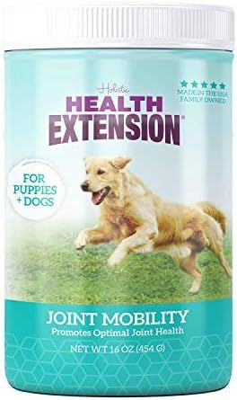 Health Extension Chondroitin with Glucosamine for Dog, Arthritis Pain Relief Vitamin, Joint & Hip... | Amazon (US)