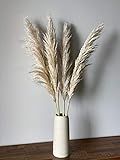 Set of 4 stems Pampas Grass Royal Light Natural 39" Extra Fluffy - Dried Boho Wedding Home Decor | Amazon (US)