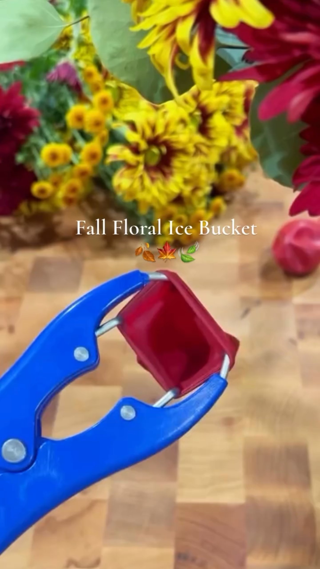 A little fall magic for your next gathering ✨ I froze seasonal blooms in balloons to create this floral ice bucket-equal parts functional and charming. The perfect cozy touch for keeping drinks cold and stylish.
🍂 Comment COLD and I’ll send you the supply list!

#LTKSeasonal #LTKSaleAlert #LTKParties