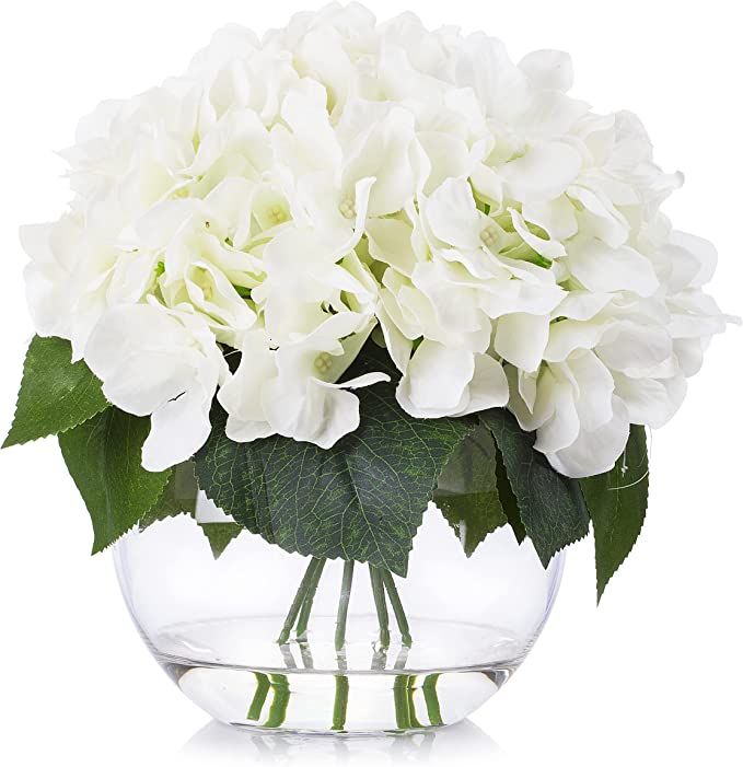 Enova Home Cream Hydrangea Flower Arrangement in Clear Glass Vase with Faux Water (Cream) | Amazon (US)