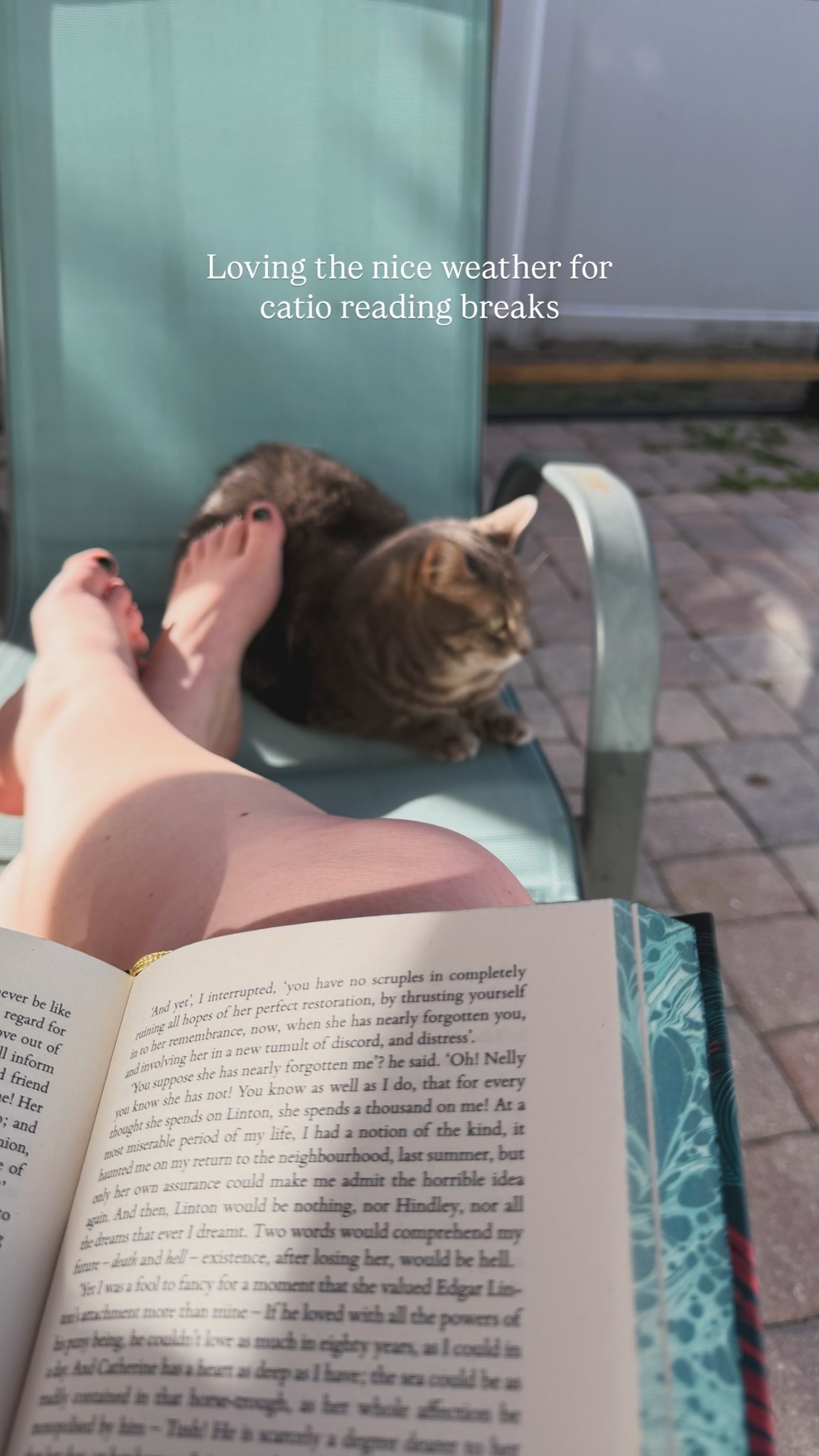 Loving the nice weather for catio reading breaks 💚📚🐾 currently rereading Wuthering Heights 

#LTKdayinmylife #LTKSeasonal #LTKselfcare