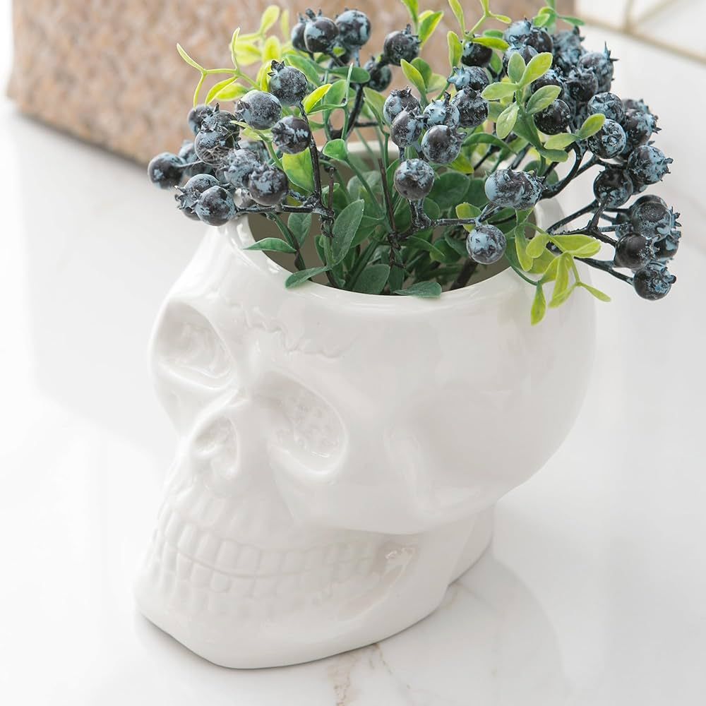 Tanvecle Skull Planter Pots, Skeleton Vase for Succulent, Flowers, Gothic Centerpiece for Table, ... | Amazon (US)