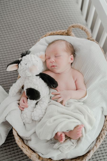 Newborn, newborn photos, newborn photography, newborn blanket, newborn stuffed animal, stuffed animal, swaddle blanket, wicker basket, newborn pictures 

#LTKbaby #LTKfamily #LTKunder50