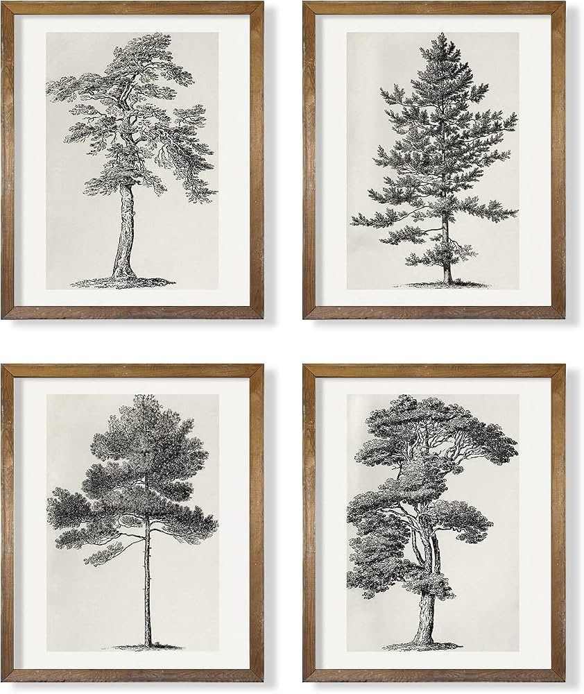 Grey Neutral Forest Tree Sketch Drawing Etching - Modern Farmhouse Botanical Wall Art - Beige Nat... | Amazon (US)