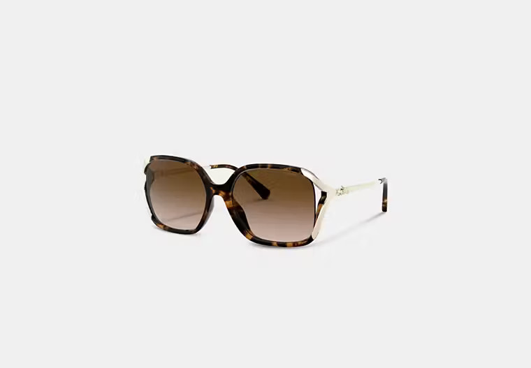 Oversized Horse And Carriage Sunglasses | Coach (US)