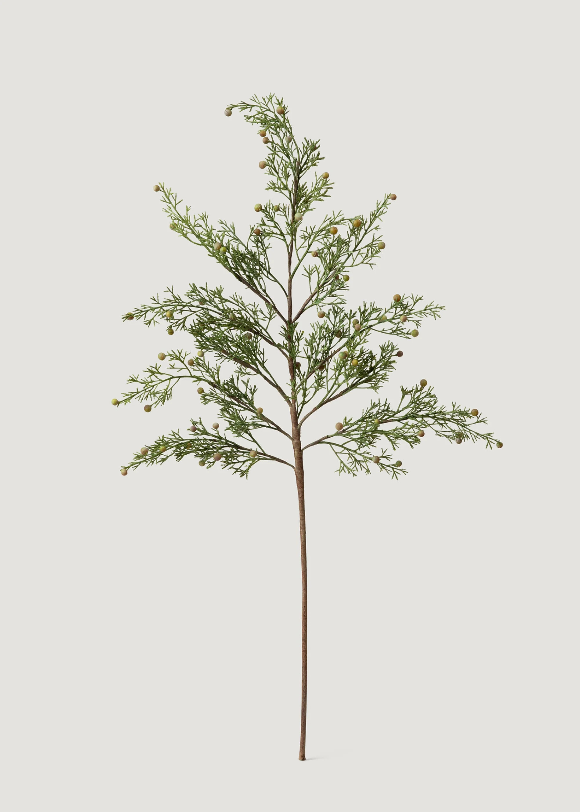 Artificial Cypress Branch - 32" | Afloral