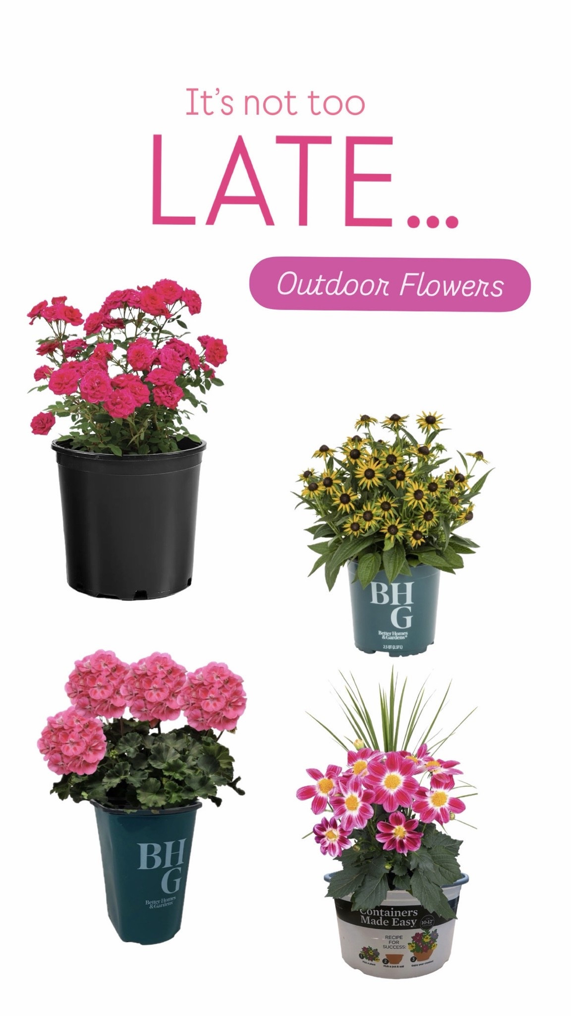 It’s not too late to add some florals to your yard!

#LTKdayinmylife #LTKgrwm #LTKmomlife