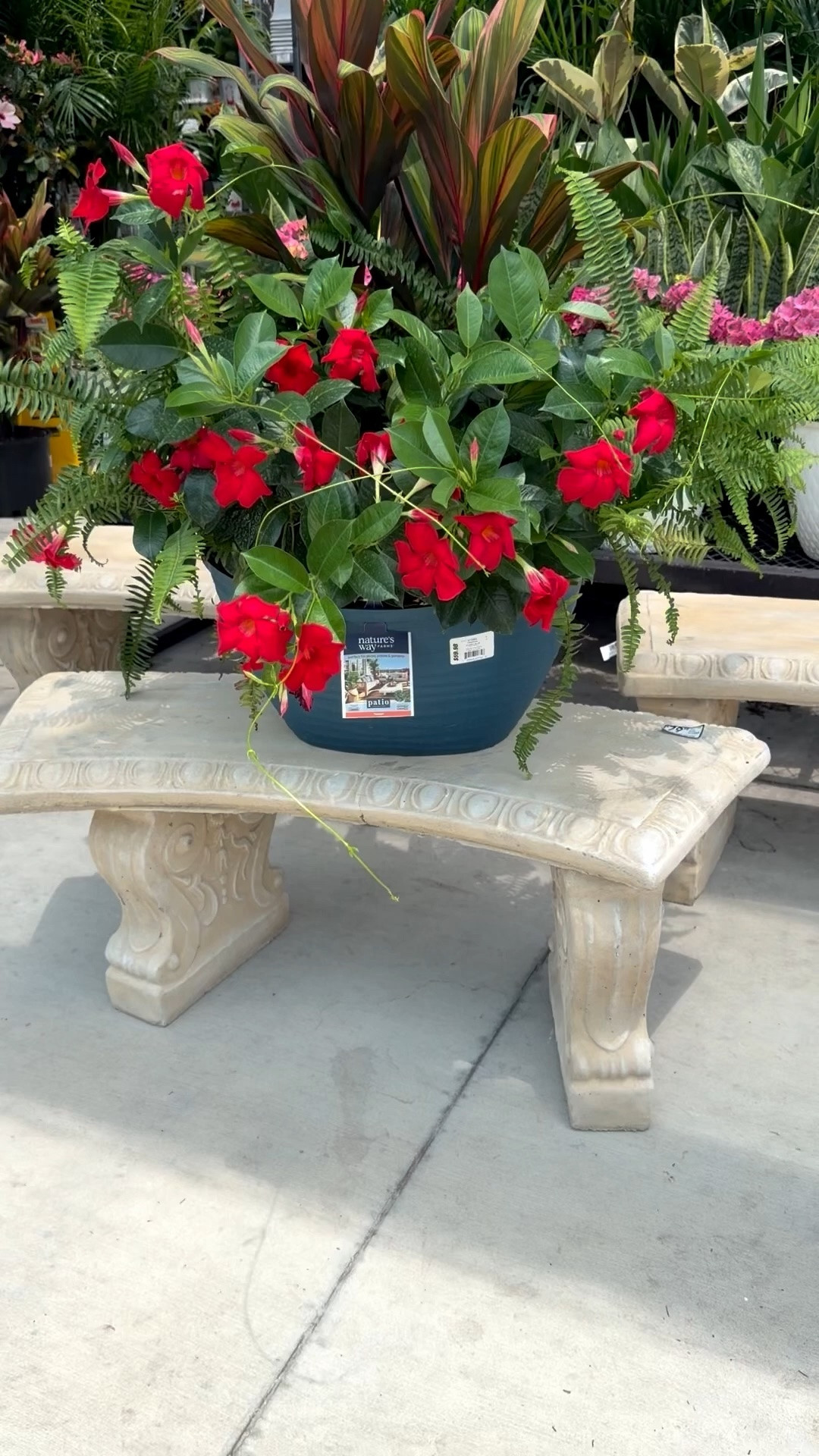 I’m so excited about my new concrete bench! It’s only $79.98 which is really good for a concrete one. I can’t wait to put it in my garden!

#LTKSeasonal #LTKHome #LTKOver40
