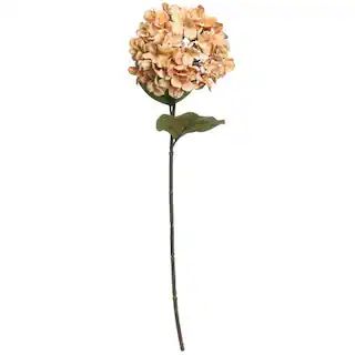 28" Beige Hydrangea Stem by Ashland® | Michaels Stores