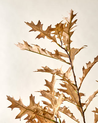 Cream Oak Leaf Spray | Magnolia