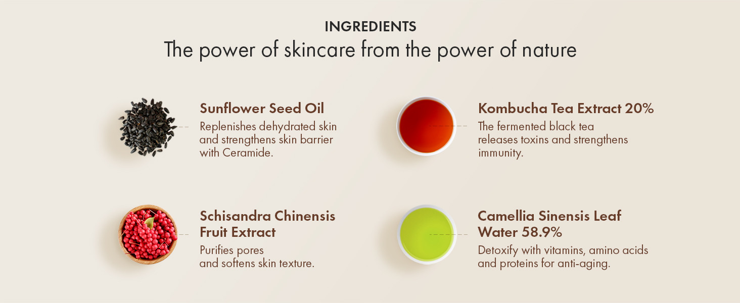 Vegan Kombucha Cream Essence, Cruelty FreeㅣThe most Effective all-in-one serumㅣKorean Skin Ca... | Amazon (US)