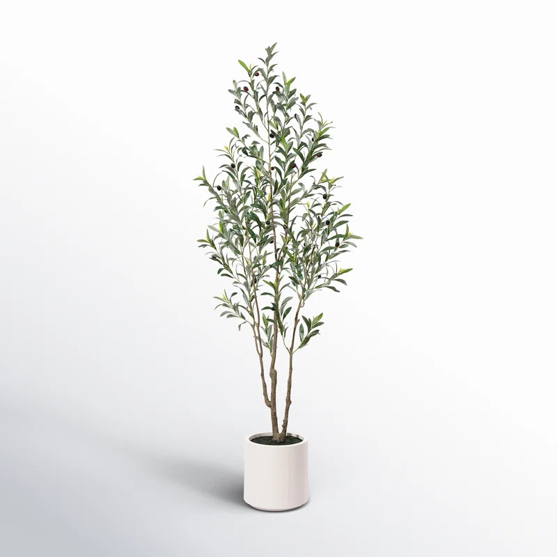 Adcock Faux Olive Tree in White Planter, Lifelike Fake Olive Plant for Indoor and Outdoor Decor | Wayfair North America