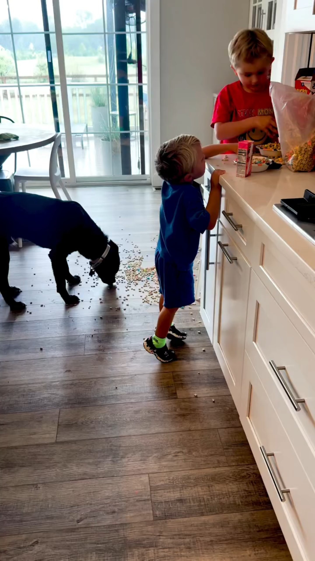 This affordable vacuum shocked me 🤯 It has 3 speeds, handles dog hair like a champ, and actually works on area rugs without eating them alive 😂 Total win for parents of wild toddlers and fluffy dogs!

Want the link? Comment VACUUM below and I’ll send it your way! 🧹🐾

#AmazonFinds#amazon #mom #momlife #momback