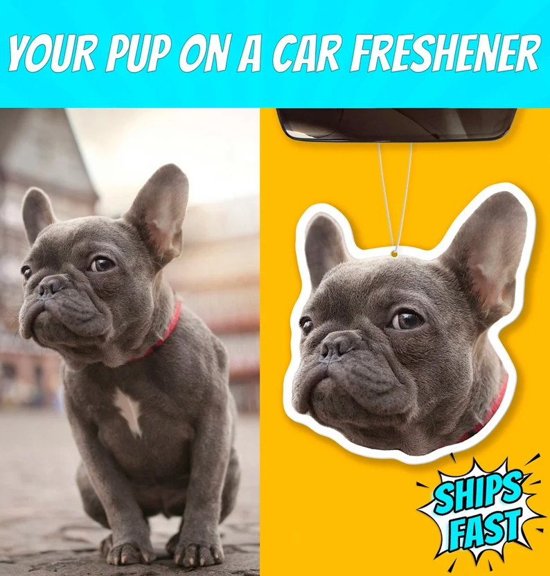Custom Air Freshener, Photo Air Freshener, Dog Air Freshener, Dog Freshener, Air Freshener for Ca... | Etsy (US)