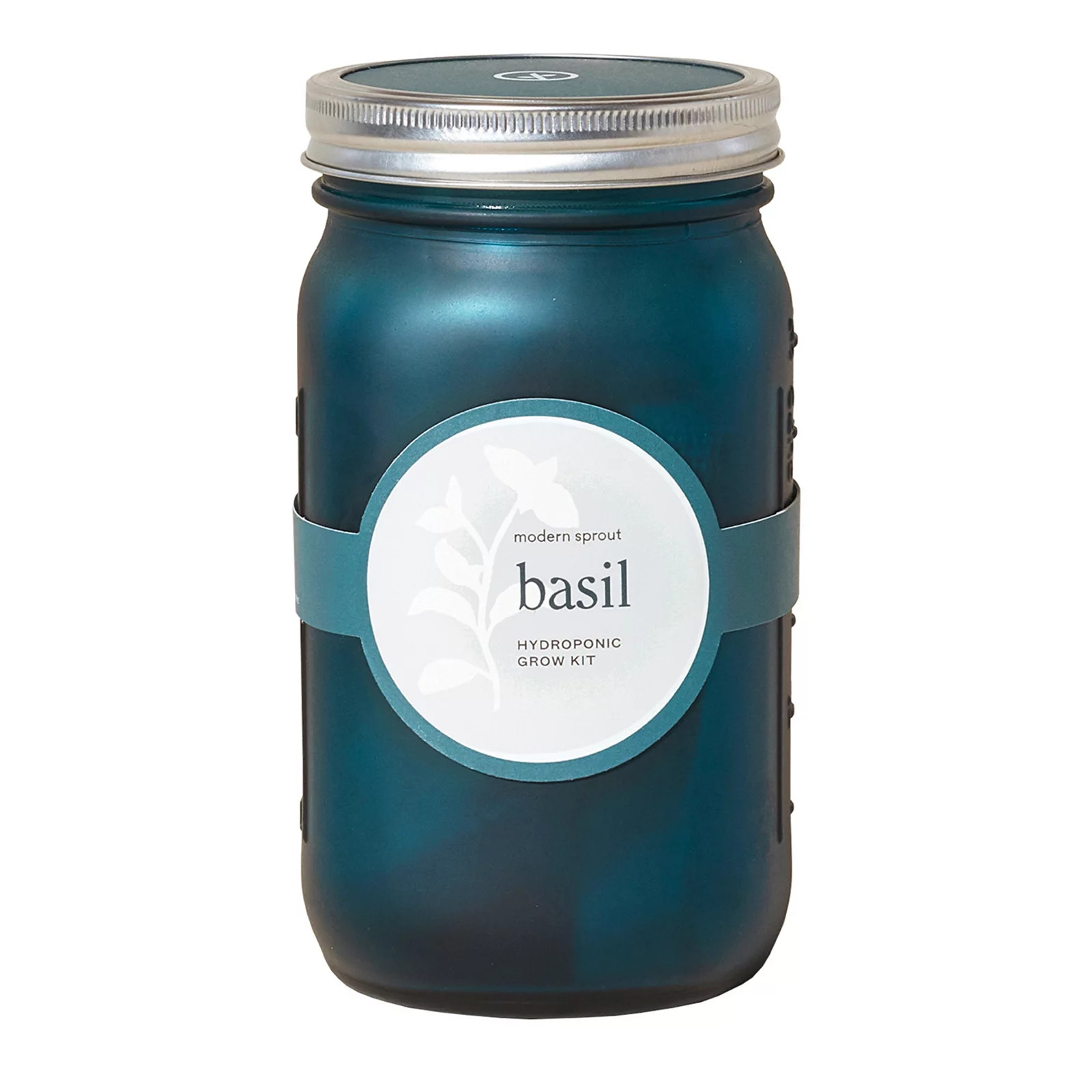 Modern Sprout Garden Jar - Basil, Multicolor | Kohl's