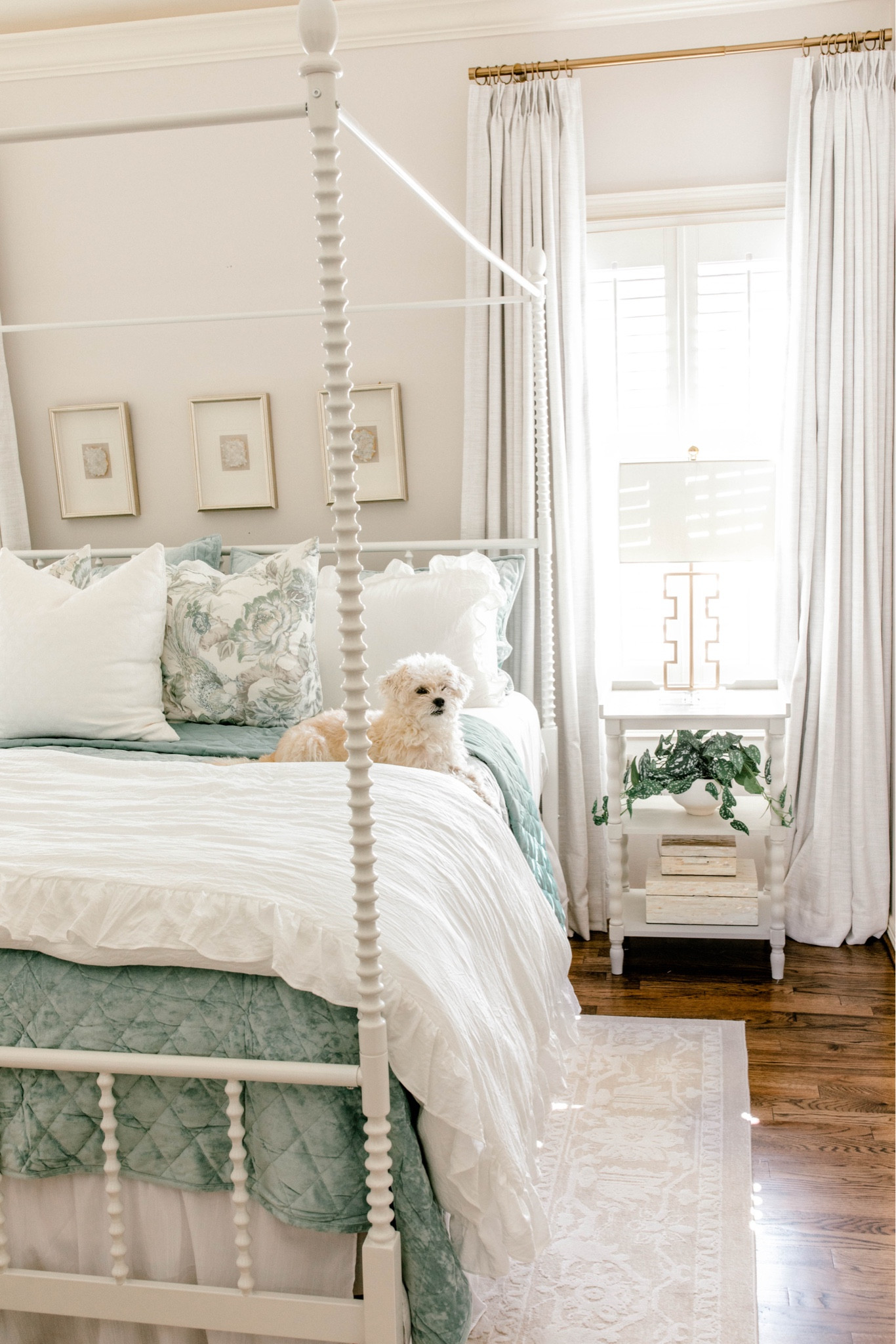 Guest bedroom design!

#LTKWedding #LTKHome #LTKSeasonal