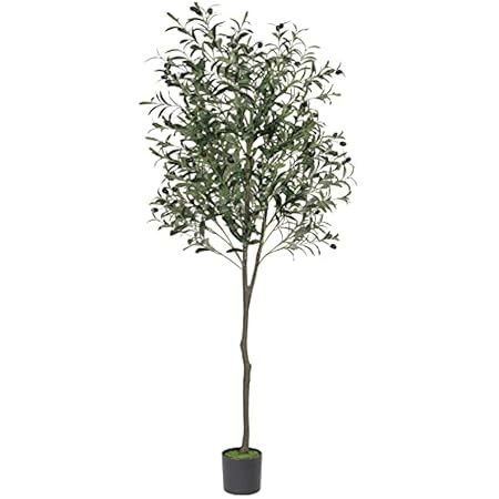 Hobyhoon Artificial Olive Trees Silk Trees Faux Olive 6ft Tall Tree in Potted Oliver Branch Leave... | Amazon (US)