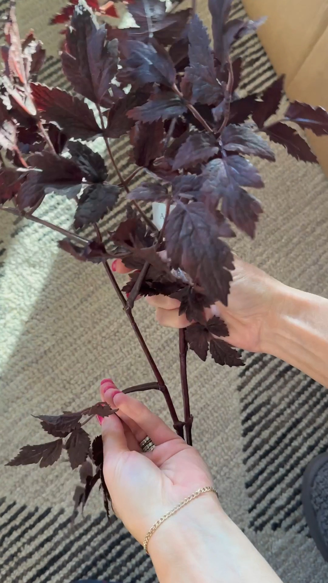 The bestselling fall stem is on sale!

#LTKVideo #LTKSaleAlert #LTKFindsUnder50