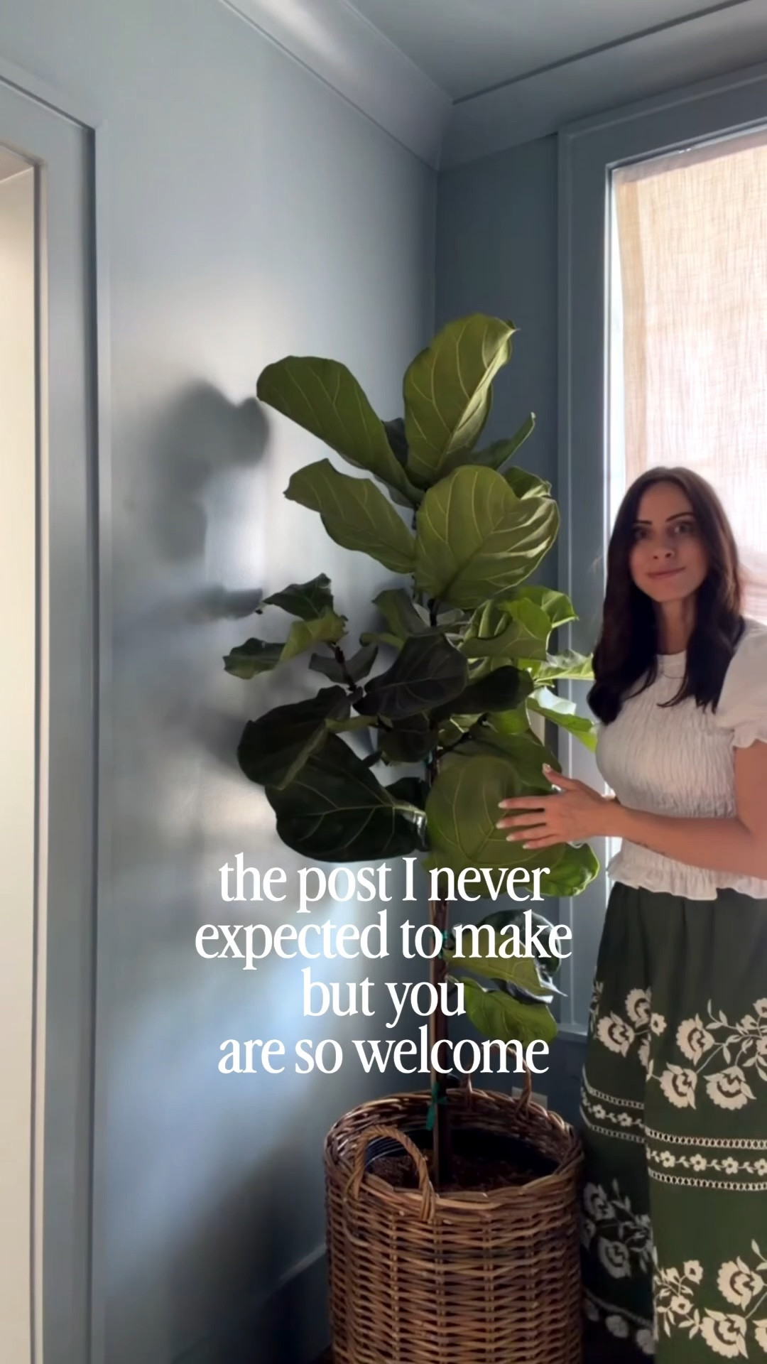 Came home from Europe to a full fungus gnat situation… within hours they were everywhere. Around the plants, in the kitchen, just nonstop. If you know, you know.

This takes a multi-step approach:

Start with what’s flying. I’ve used the Zevo plug-ins for years to catch gnats, fruit flies, house flies, even mosquitoes that sneak in.

Treat the source & stop overwatering plants. Let your soil dry out and address it so they stop laying eggs. I’m using a 1:4 hydrogen peroxide to water ration to treat my soil. 

DIY trap for the fruity ones. Apple cider vinegar and a drop of Dawn for fruit flies, works every time.

Gotta love living in the South… where the plants thrive and the bugs do too 👀.

#LTKstorytime #LTKmorningroutine #LTKHome