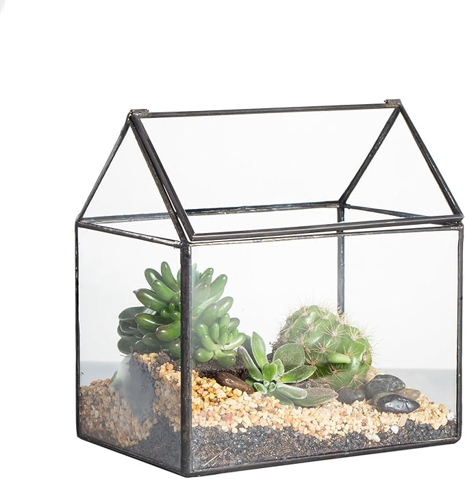 NCYP Small 6.1x6.3x4.33inches Glass Terrarium Box with Lid for Succulent Air Plants Fern, Handmad... | Amazon (US)