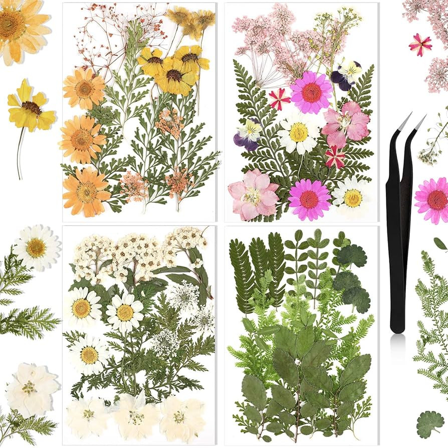 Amazon.com: Nuanchu Pressed Flowers Resin Flowers for Resin Mold, Real Daisy Dried Flower Leaves ... | Amazon (US)