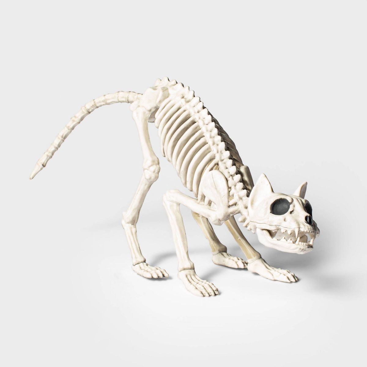 13" Cat Skeleton Halloween Decorative Prop - Hyde & EEK! Boutique™ | Target