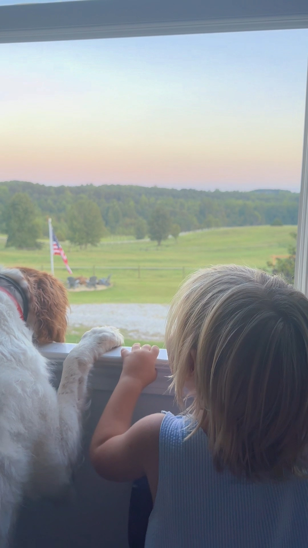 And watching daddy cut the grass at sunset is always their favorite 🌅 m