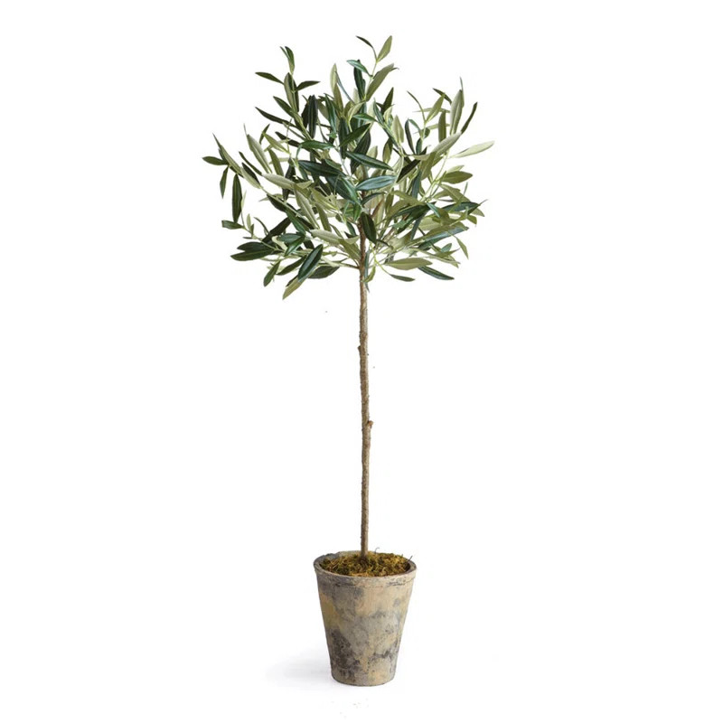 Conservatory Faux Olive Tree Tree in Ceramic Pot | Wayfair North America