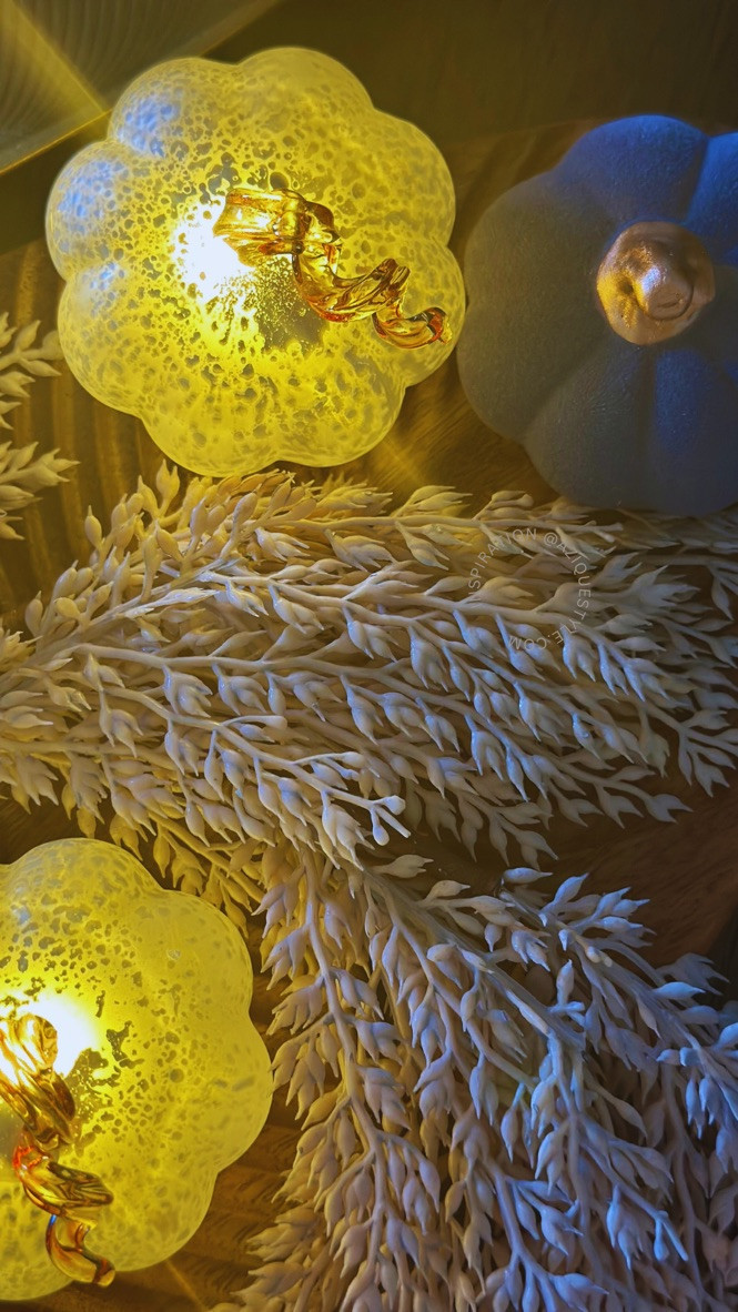 #LTKParties #LTKHome #LTKSeasonal