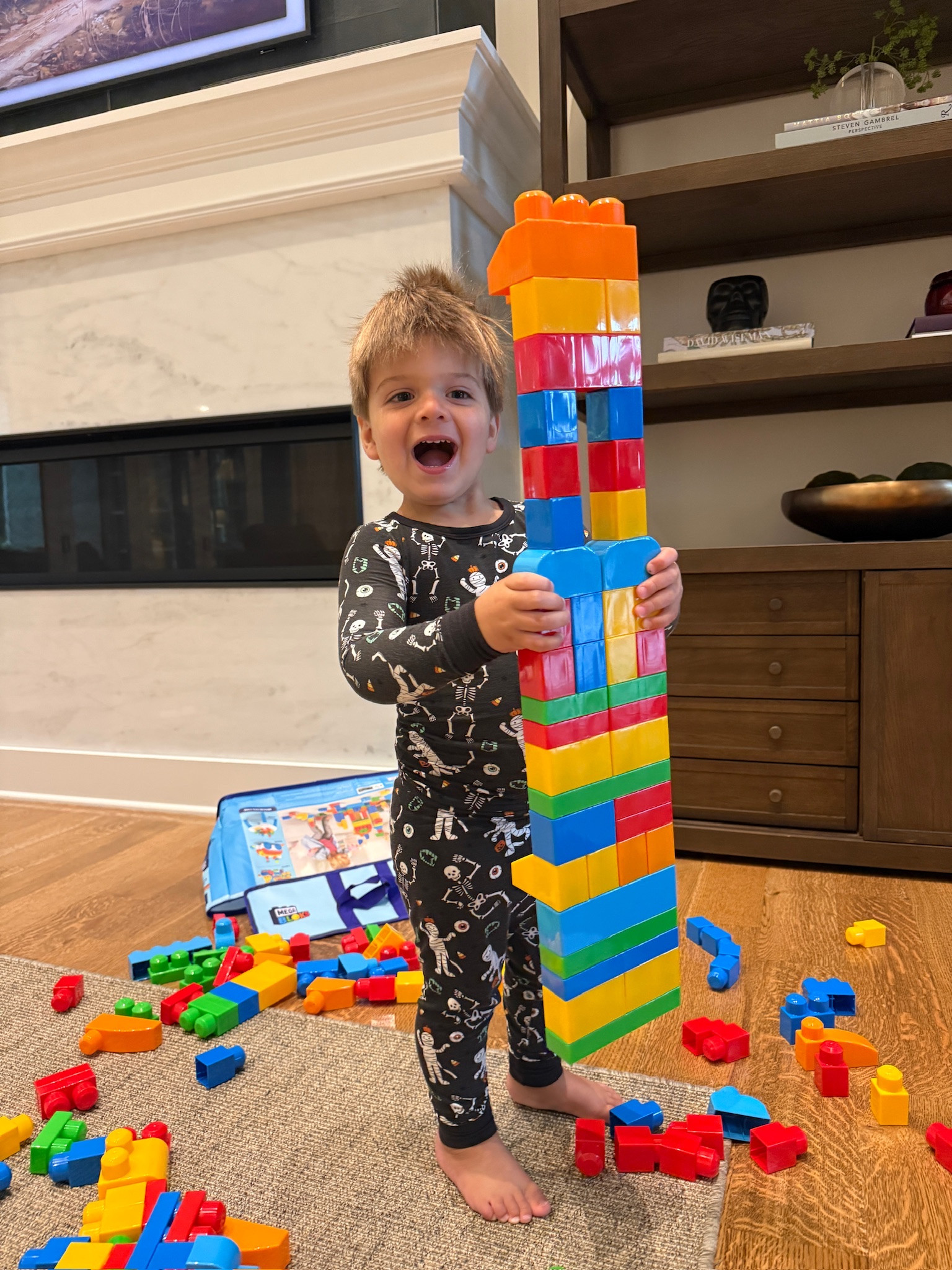 Coopy!!!

building blocks, toy blocks, indoor play, creative play, kids toys, Grace White