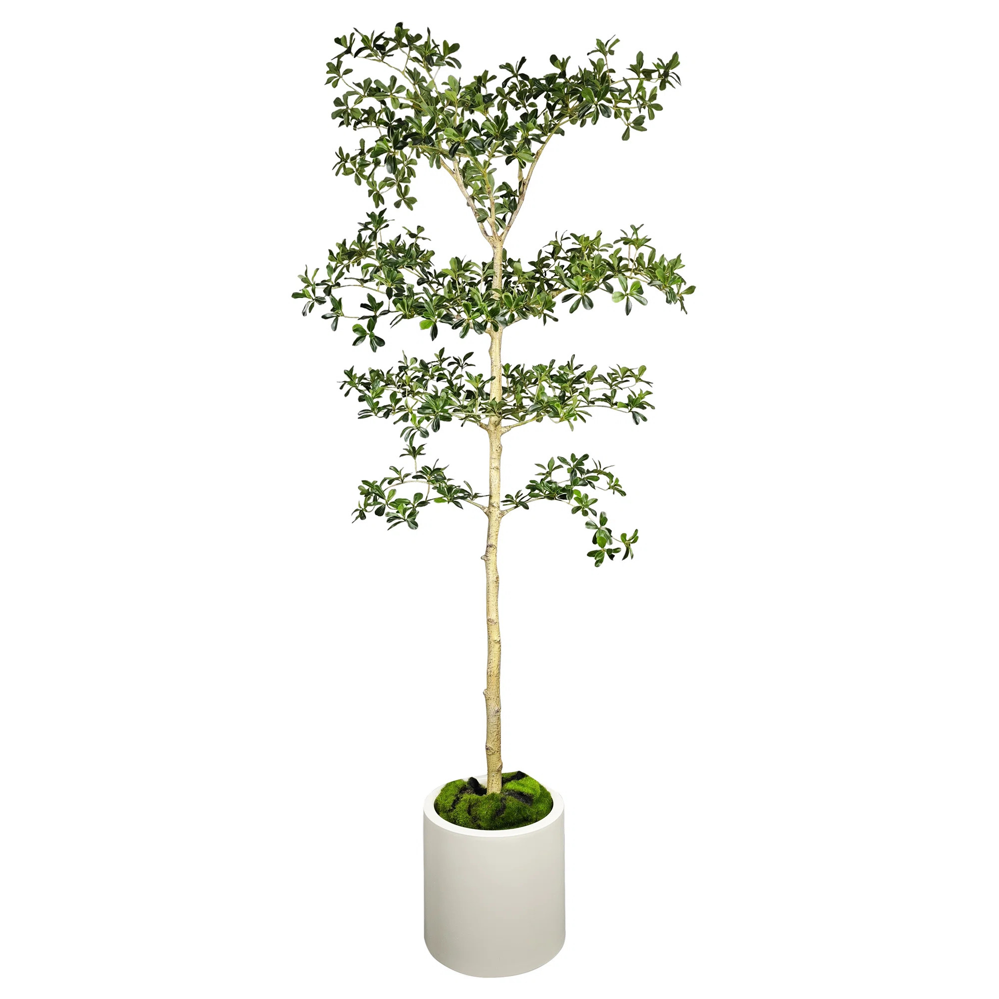 6.5 ft. Artificial Shady Lady Tree in White Decor Pot | Wayfair North America