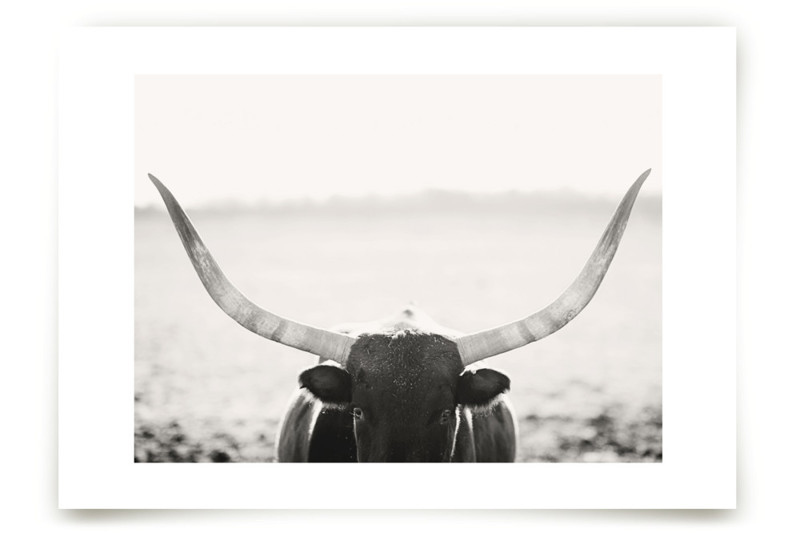 "Staredown" - Photography Limited Edition Art Print by Amy Carroll. | Minted