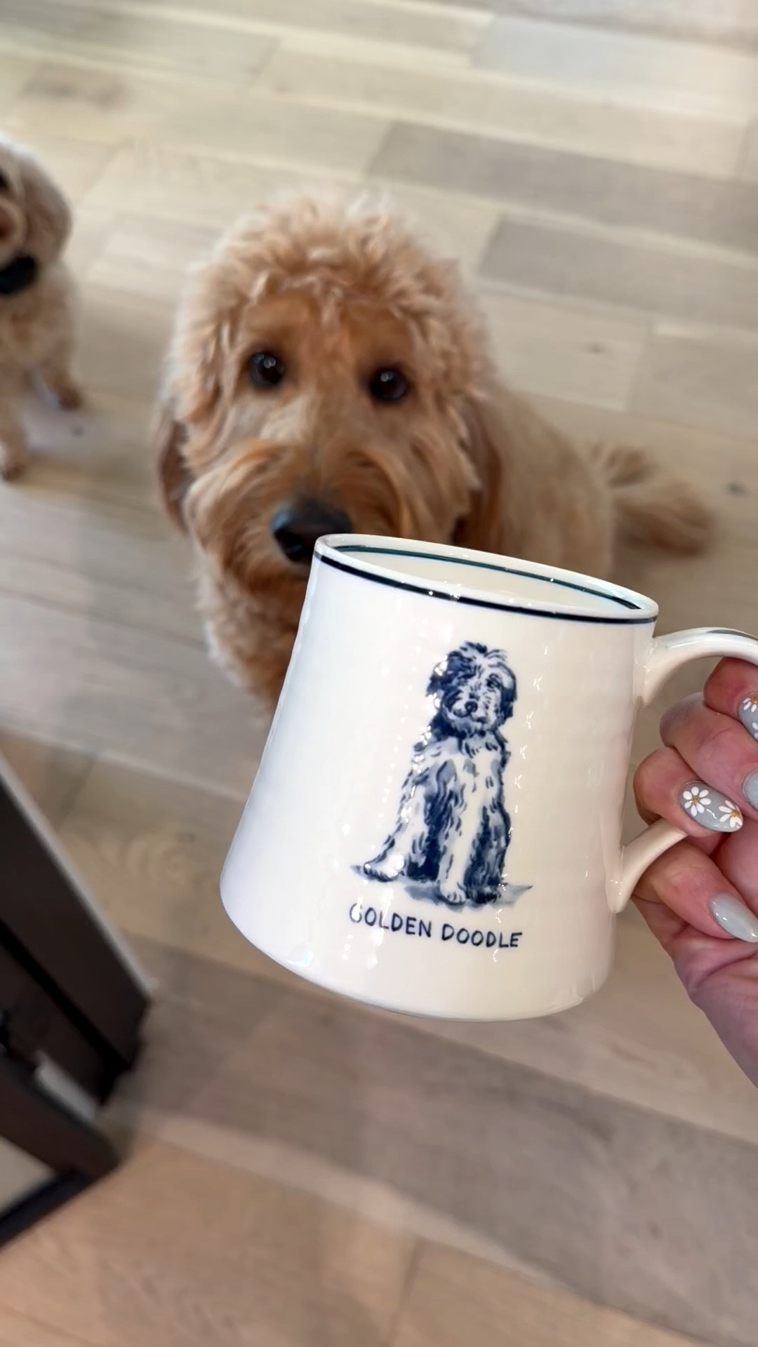 new cutie coffee mug of my sweet pup

#LTKHome #LTKmomlife #LTKmorningroutine