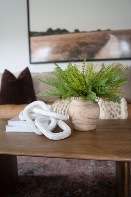Simple spring family room refresh! Affordable faux fern stems from Walmart to add in greenery! 



#LTKSeasonal #LTKhome #LTKstyletip