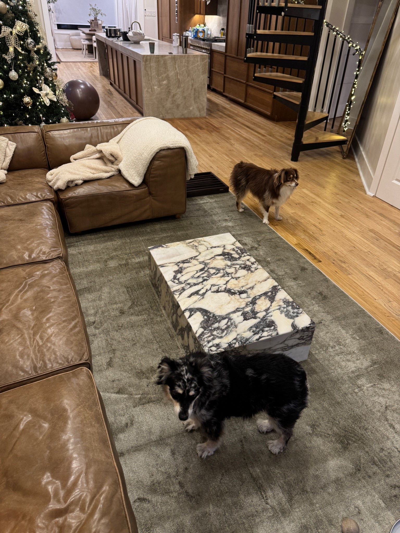 the perfect sage green rug on mega sale! 