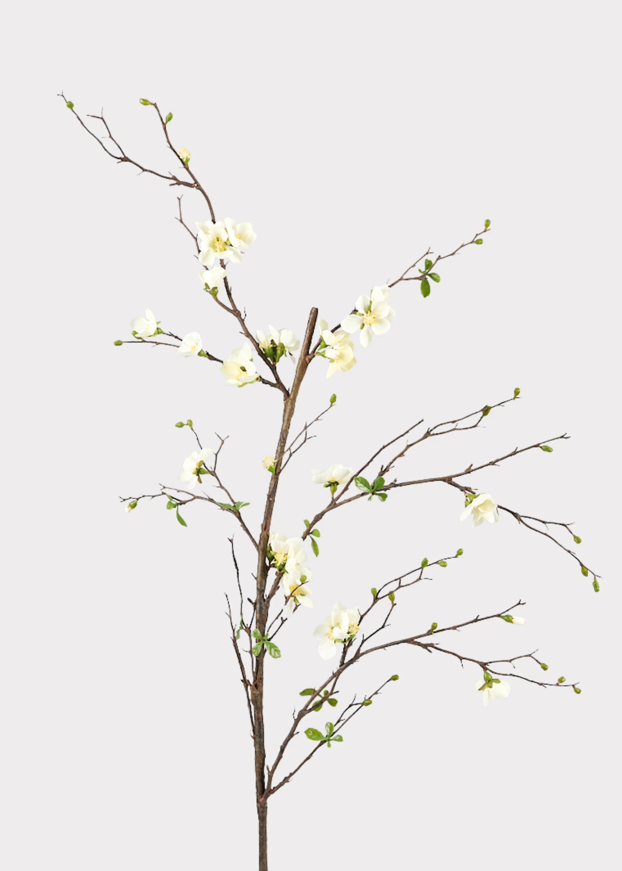 Tall Blossom Branch in Cream | Fake Flower Branches at Afloral.com | Afloral